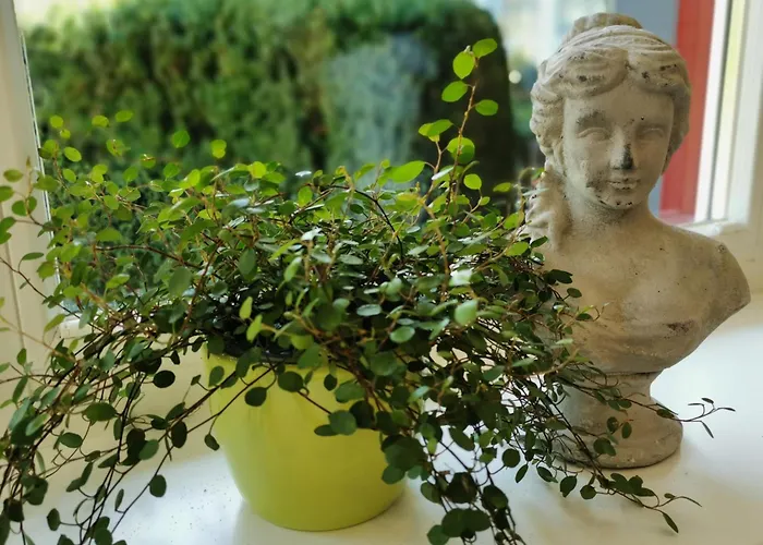 Grafenholz Überlingen