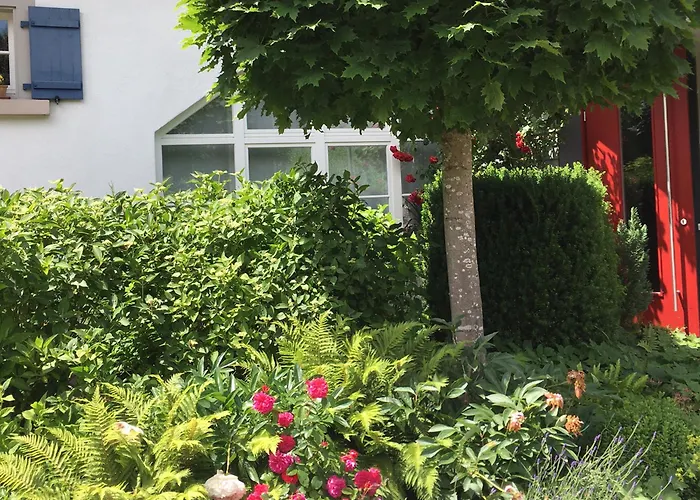 Apartman Grafenholz *